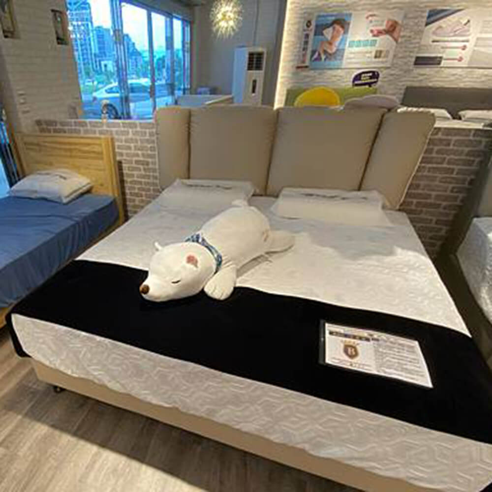 【 新竹床墊推薦】 MIT台灣品牌| 挑選一張適合自己的床墊
